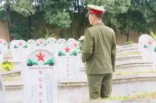 芳华群演竟有70名蒙自人红河人都是天生好演员
