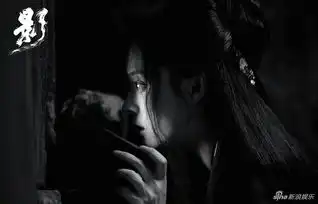 组图张艺谋影曝海报剧照邓超孙俪抚琴共舞美cry