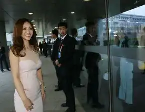 柳岩亮相北京国际电影节遭老外偷瞄