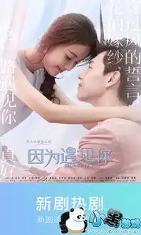 三邦车视app苹果安卓版三邦车视app破解版下载
