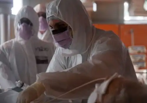 纽约上演生化危机情节,商店门窗钉满木板枪比口罩还抢手
