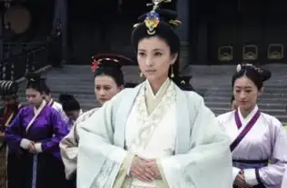 斓曦在芈月传中扮演哪个角色

