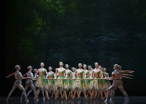 三年百场,千锤百炼上芭全新闪闪的红星明晚登陆上海
