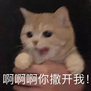 十二九亿姐和老公假老实,以及和土老板惊惊三人之间的感情
