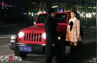 离婚律师剧照萌妹子