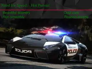 nfs14161718英文评价