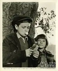 杀死一只知更鸟官方剧照
