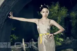 新红楼梦古典美人登杂志展露时尚
