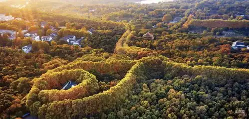 续写东贵紫金山下,47层洋房,即将公开
