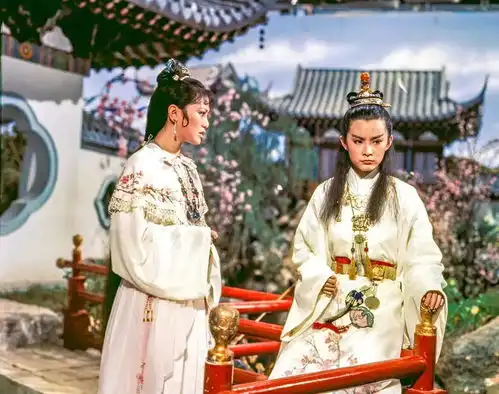 红楼梦改编,左右为难
