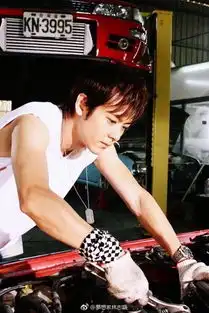 放羊的星星过10年重拍林志颖po照回忆仲夏cp
