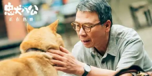 冯小刚谈接演忠犬八公原因希望狗狗被善待
