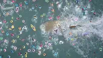 李冰冰再闯好莱坞携手斯坦森,新作巨齿鲨曝光剧照