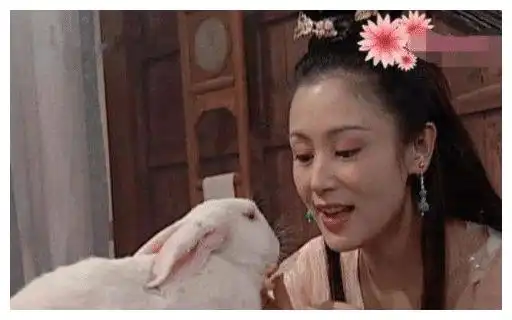 她为什么被称为大陆第一美女看到年轻时的照片,终于知道了
