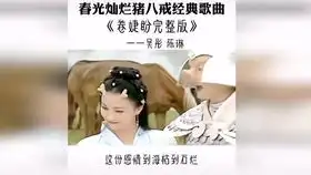 春光灿烂猪八戒20年
