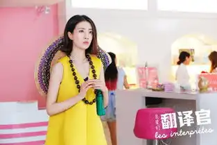 亲爱的翻译官剧照
