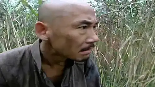 小兵张嘎嘎子芦苇丛调戏歪嘴,超经典