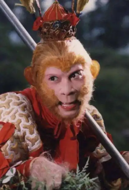 菩提有12代弟子,为何只有孙悟空在三界闯荡其他师兄们都去哪了
