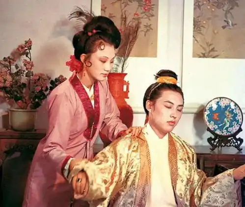 红楼梦中贾赦和秋桐的关系到底是什么
