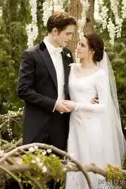 暮光之城破晓上热映曝幕后花絮