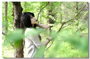 森林里有个小妖精
