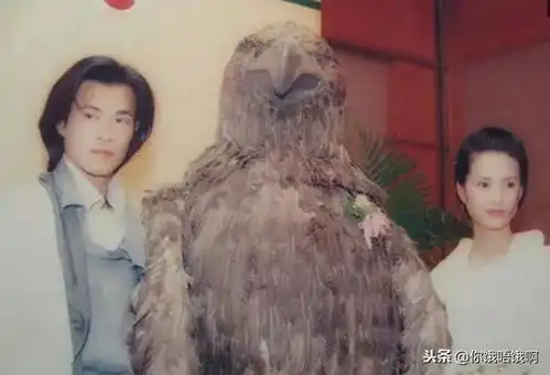 搞笑李若彤出席活动穿了件橘色毛外套网友姑姑穿了雕兄同款