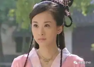 13年前的这部剧才是美女如云,秋瓷炫胡静都不是最美,而是男主妈