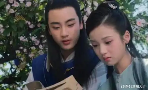 新版红楼梦的三大硬伤,胡玫不服气,要告网友给差评
