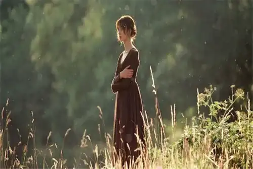 傲慢与偏见很安静的一部电影,值得细细品味
