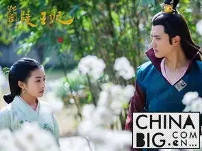 兰陵王妃宇文邕喜和元清锁在一起没宇文邕结局如何