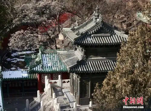 颐和园流失海外宝云阁铜窗芯回家
