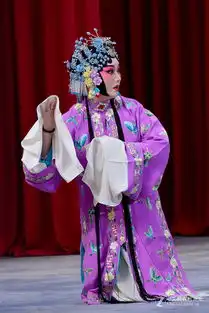 京剧六月雪剧照20160411刘桂娟主演