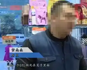 宠物店就被犯罪分子给盯上了
