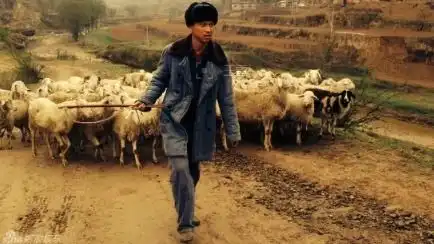 平凡的世界中的主要人物的结局如何