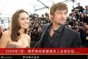 皮特朱莉10年修正果法国完婚手机新浪网
