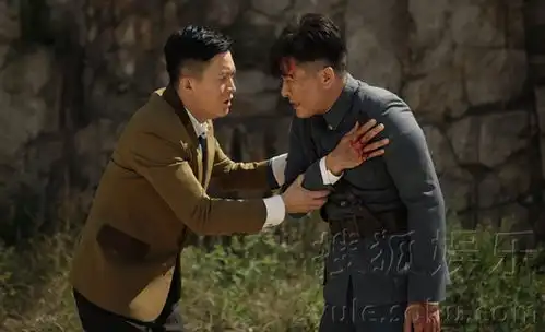 勇敢的心释放正能量杨志刚于毅解读勇敢