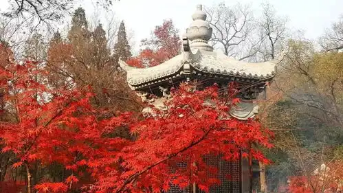 你去栖霞山打卡了吗
