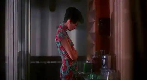 花样年华少年看旗袍,青年看爱情,中年看苏丽珍婚姻的酸楚