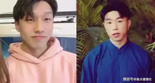 快乐星球中饰演冰柠檬的张兆艺官宣恋情,网友们纷纷送上祝福并表示爷青结