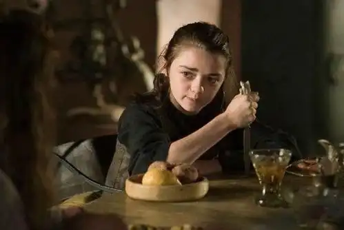 权力的游戏艾莉亚外号