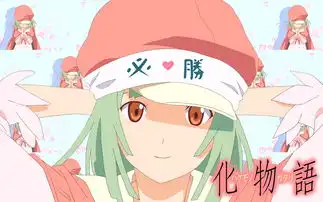 化物语的全部相关视频bilibili哔哩哔哩弹幕视频网
