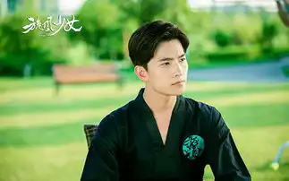 盗墓笔记杨洋的图片
