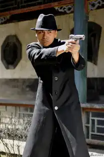 淳于珊珊变身痞子英雄
