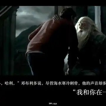 全站照片标签哈利波特
