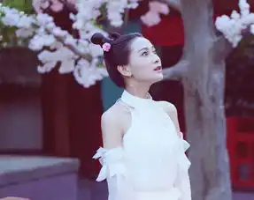 一个宫女的职场晋升记读言情小说丹凤朝阳
