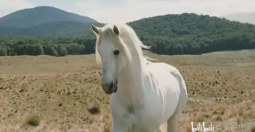 你知道指环王中甘道夫为何会死而复生并晋升为白袍巫师的吗