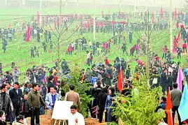 500多单身男女昨日新密栽下爱情树