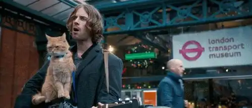 那只治愈了全世界的流浪猫鲍勃,昨晚去世了...