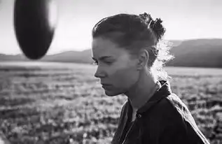 学习七肢桶语言帮你预见未来
