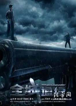 全城通缉曝先导海报刘烨赵文卓生死对决
